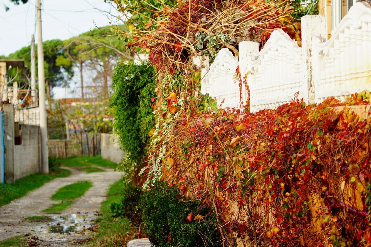 Villa Duka Avlonya Dış mekan fotoğraf