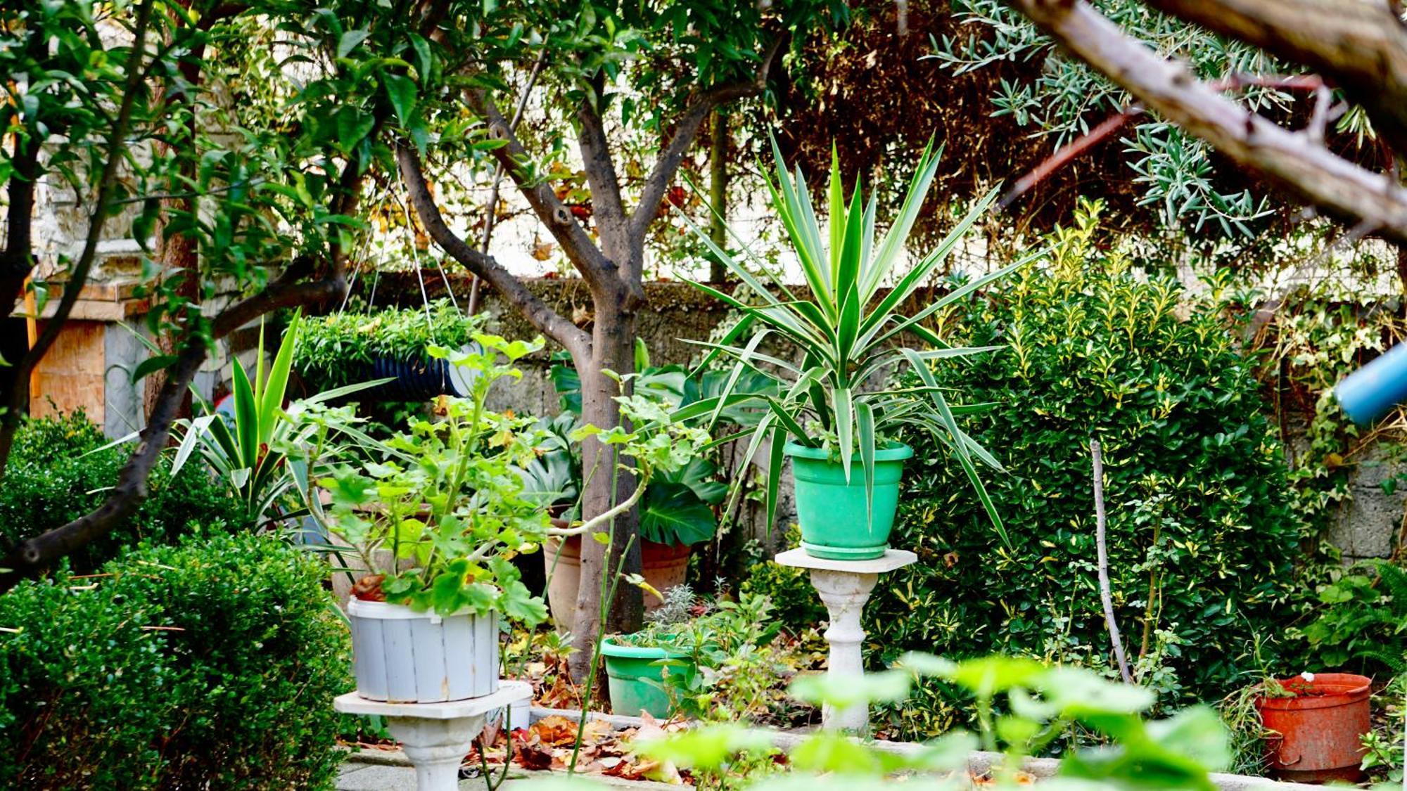 Villa Duka Avlonya Dış mekan fotoğraf